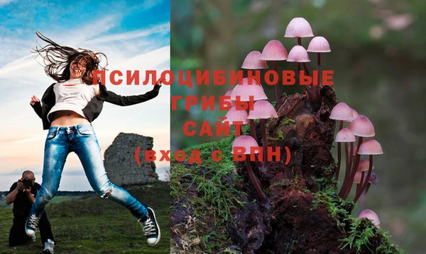 ECSTASY Куйбышев