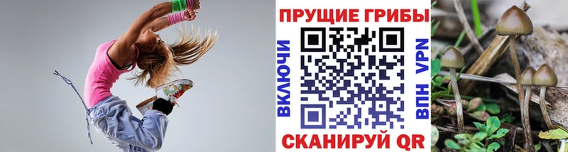 Псилоцибиновые грибы мухоморы  Купить где  Подпорожье 